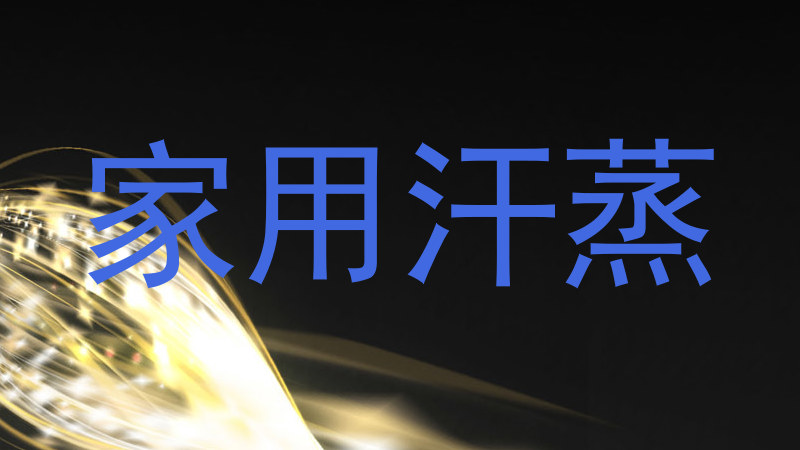 家用汗蒸