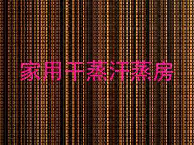 家用干蒸汗蒸房