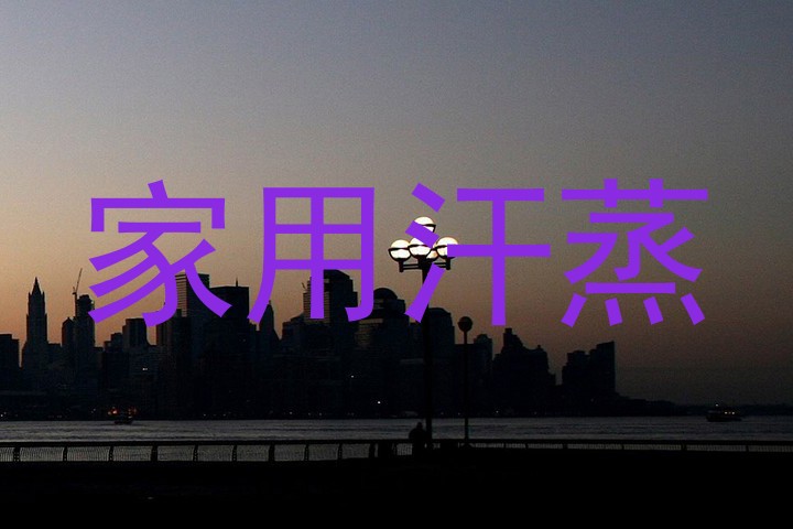 家用汗蒸