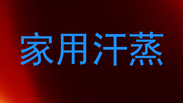 家用汗蒸