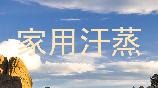 家用汗蒸