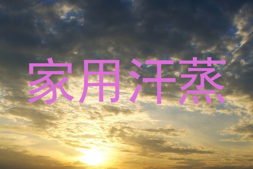 家用汗蒸