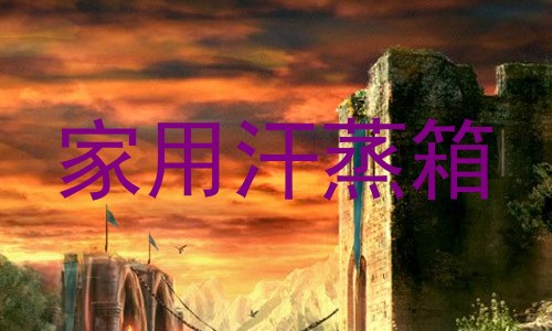 家用汗蒸箱