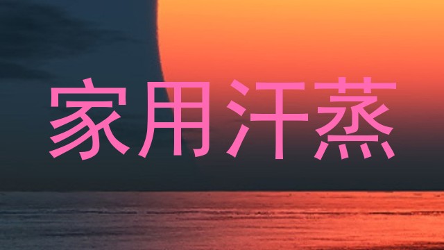 家用汗蒸