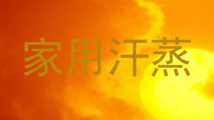家用汗蒸