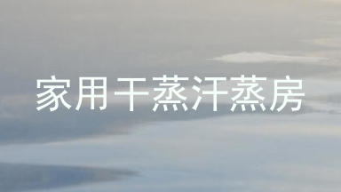 家用干蒸汗蒸房