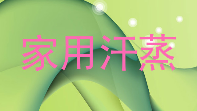 家用汗蒸