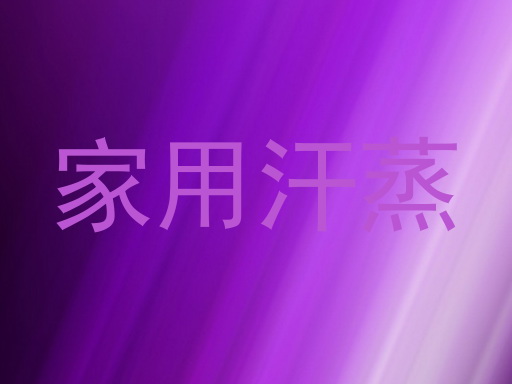 家用汗蒸