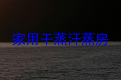 家用干蒸汗蒸房