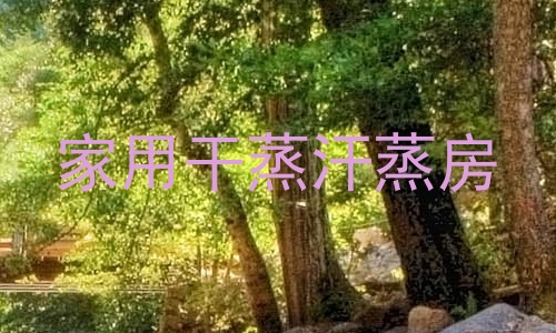 家用干蒸汗蒸房