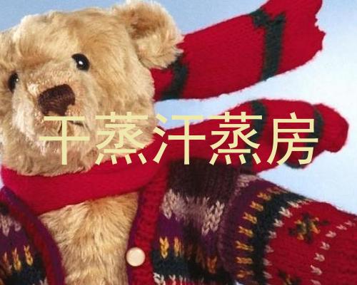 干蒸汗蒸房
