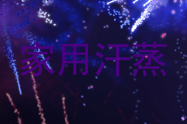 家用汗蒸