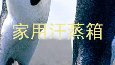 家用汗蒸箱