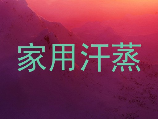 家用汗蒸