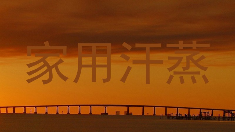 家用汗蒸