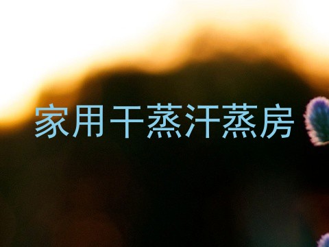 家用干蒸汗蒸房