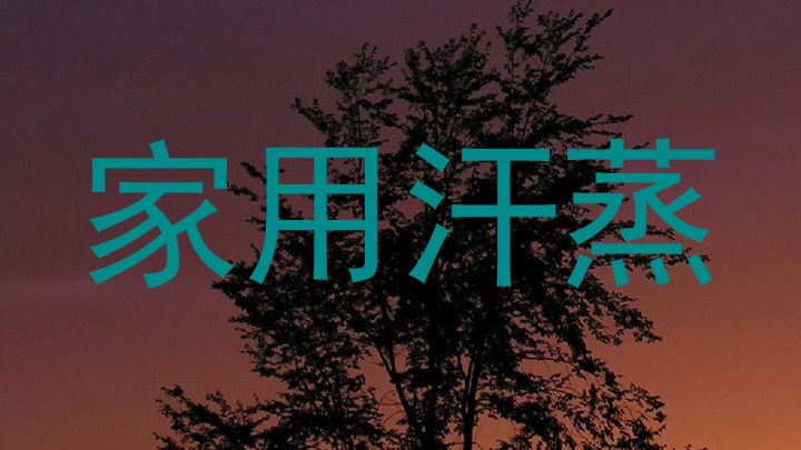 家用汗蒸