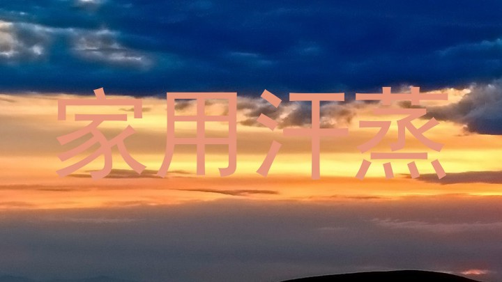 家用汗蒸