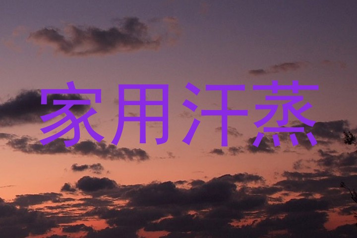 家用汗蒸