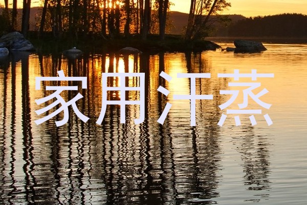 家用汗蒸