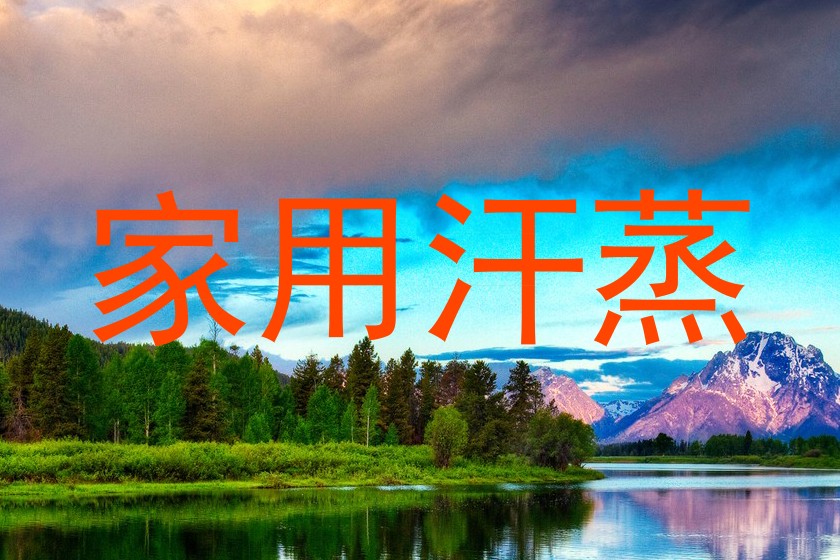 家用汗蒸