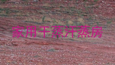 家用干蒸汗蒸房