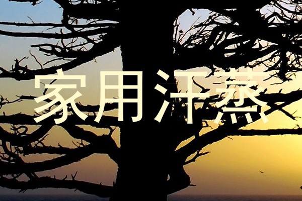 家用汗蒸