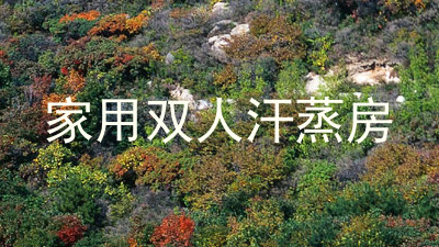 家用双人汗蒸房