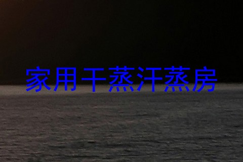 家用干蒸汗蒸房
