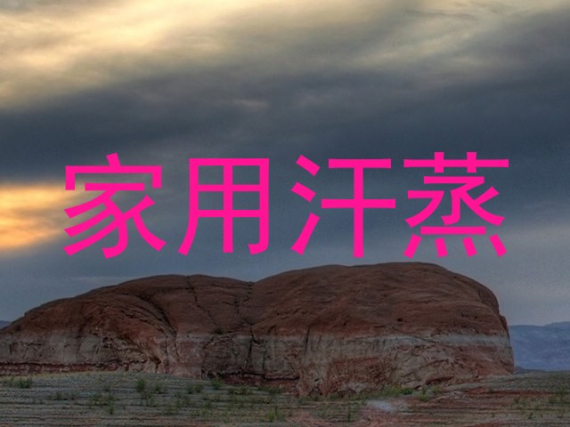 家用汗蒸
