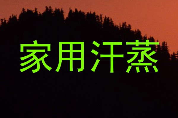 家用汗蒸