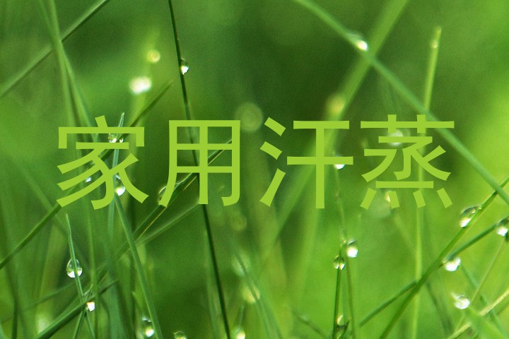 家用汗蒸