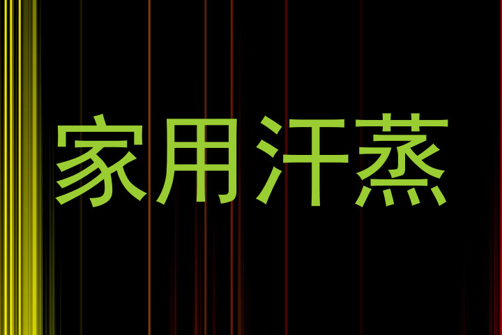 家用汗蒸