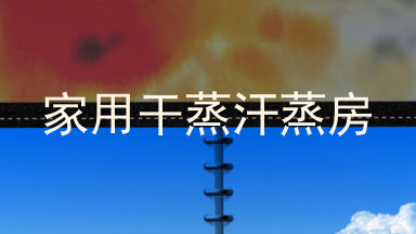 家用干蒸汗蒸房