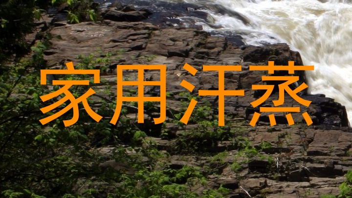 家用汗蒸