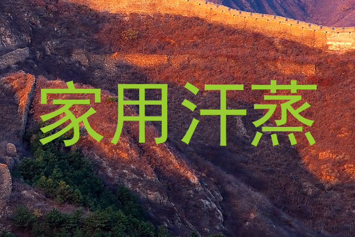 家用汗蒸