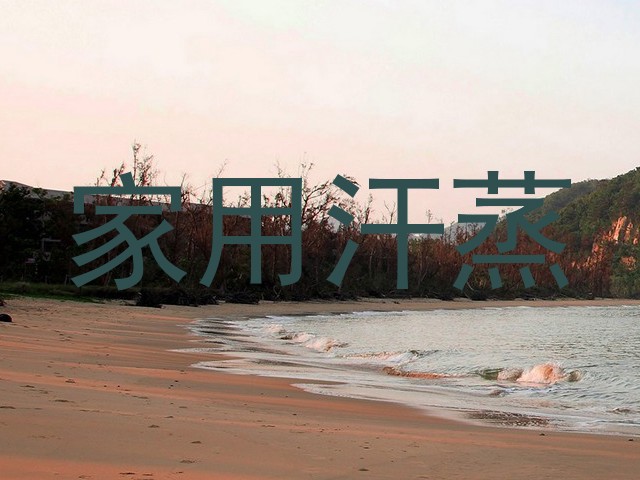 家用汗蒸