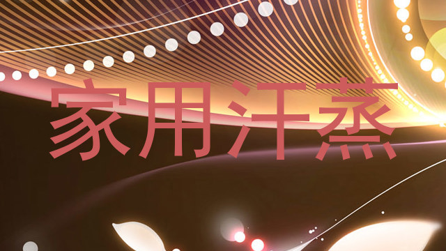 家用汗蒸