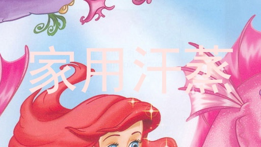 家用汗蒸