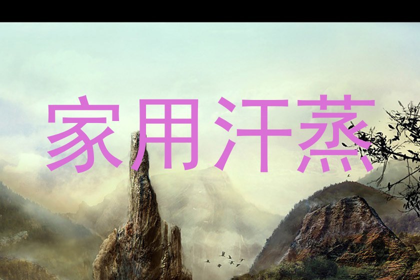 家用汗蒸