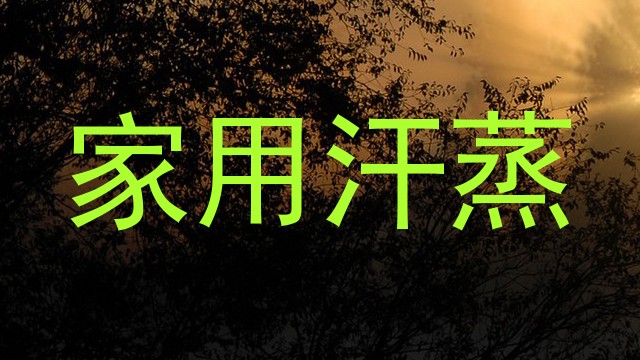 家用汗蒸