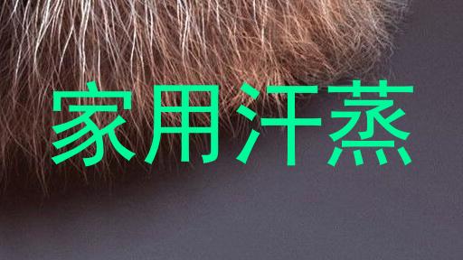 家用汗蒸