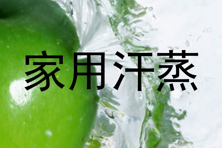 家用汗蒸