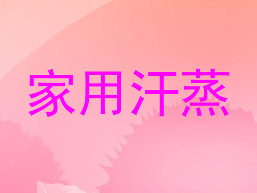 家用汗蒸