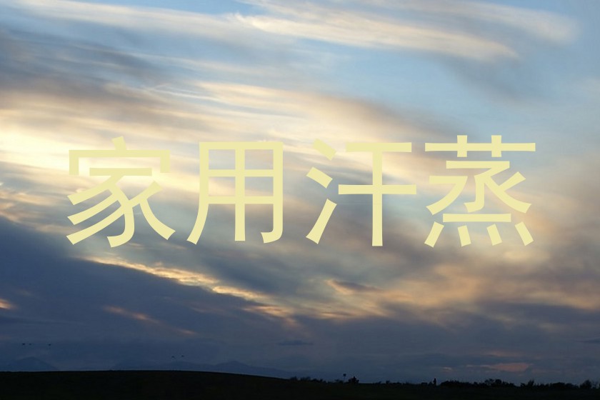 家用汗蒸