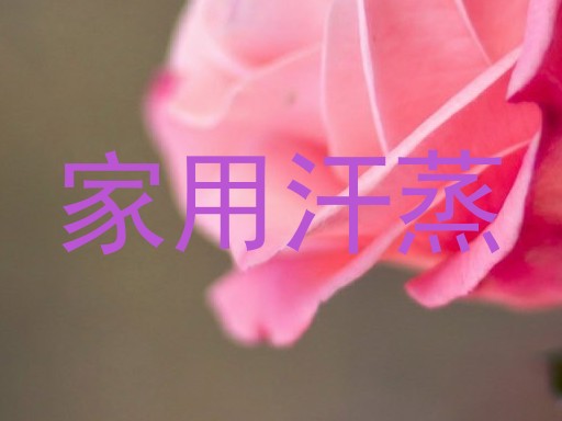 家用汗蒸