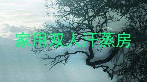 家用双人汗蒸房