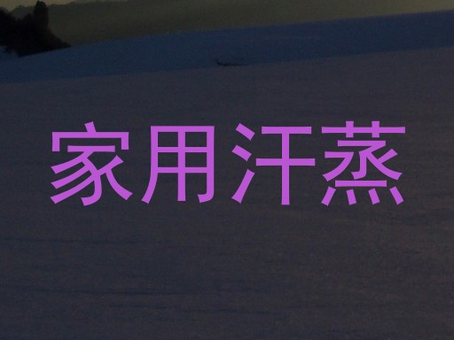 家用汗蒸