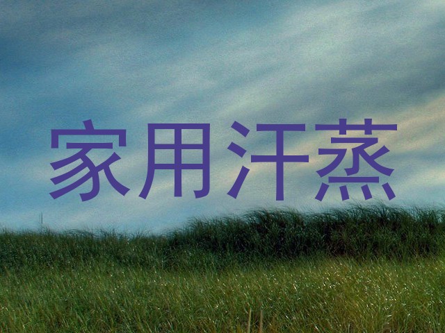 家用汗蒸