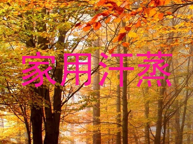 家用汗蒸